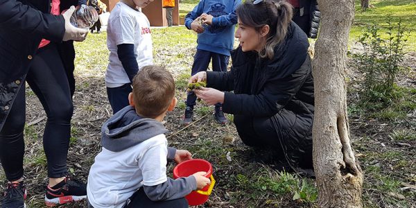 Një orë e veçantë e shkencës